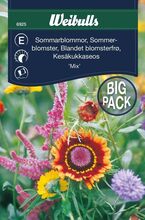 Sommerblomster mix stor